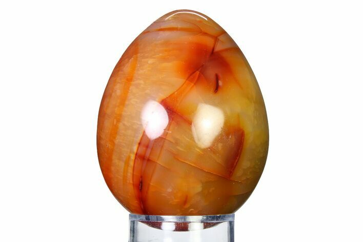 Vibrant Polished Carnelian Agate Egg - Madagascar #318264